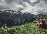 开云足球直播-森林狼压哨绝杀开拓者，霍勒迪关键时刻化身救世主