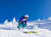 开云体育app-2026世界杯焦点战，鹈鹕终结黄蜂，新奥尔良的足球觉醒之夜