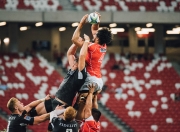 开云官方app入口-战术革命与关键先生，莱比锡红牛如何以体系压制皇家社会，帕尔默一锤定音