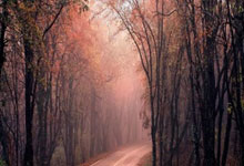 开云体育官方网站-利物浦翻盘德国，格拉利什一己之力扛起全队的简单介绍