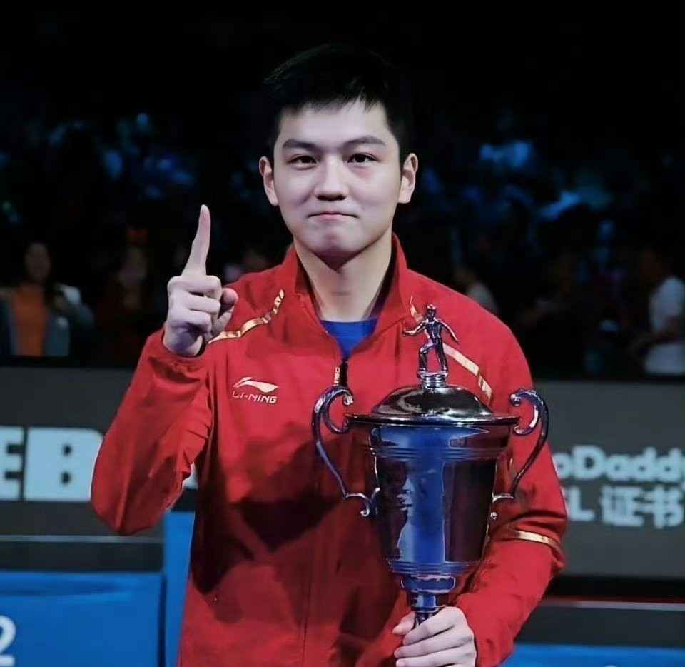 包含波兰乒乓球队强势瑞典乒乓球队，王皓一己之力扛起全队的词条