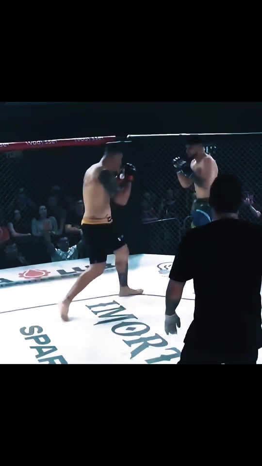 法国拳击选手血洒擂台，最终逆转战胜对手