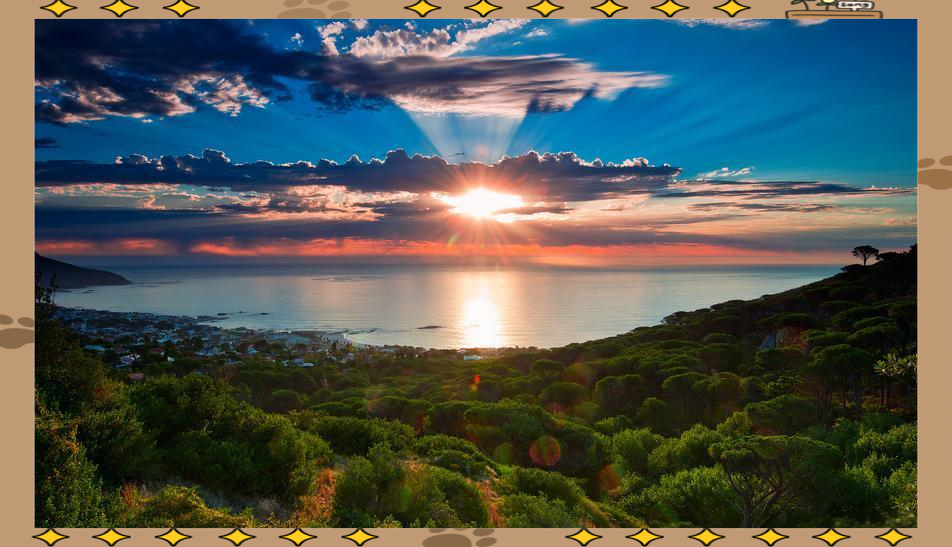 汉堡球队面临逆境，需要信念和努力才能突破