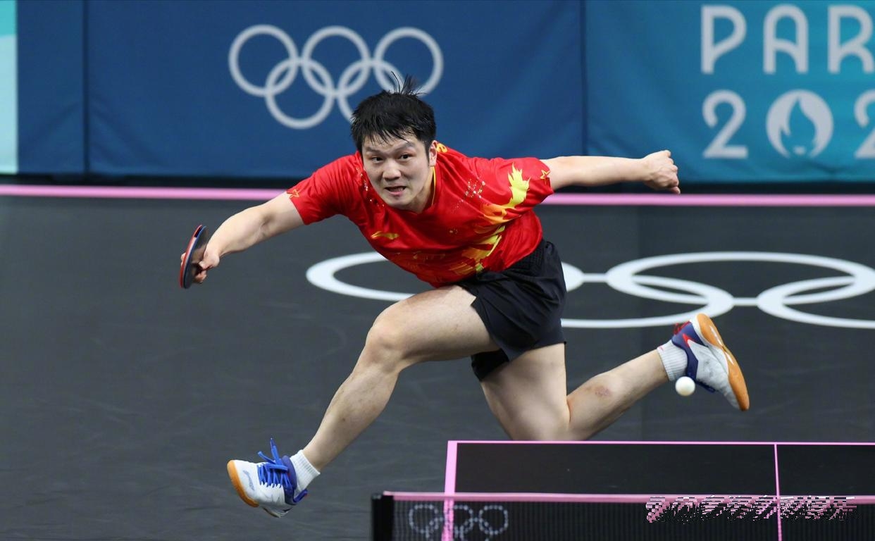 关于法国队轻取瑞典队，樊振东刷新纪录的信息