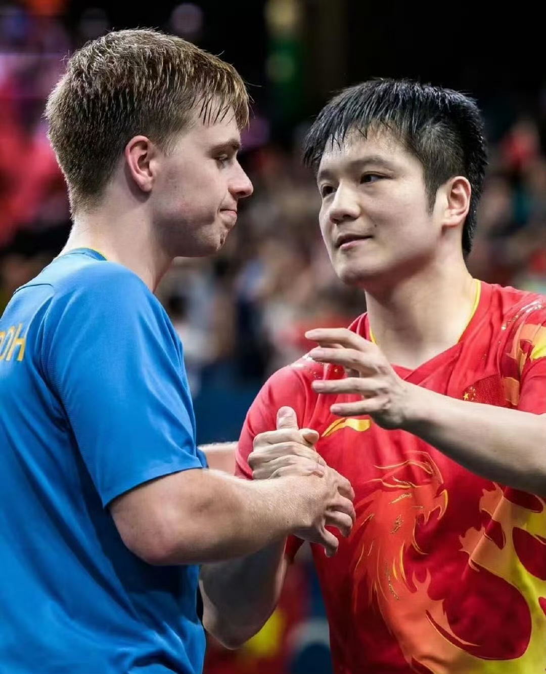 瑞典队完胜日本队，樊振东关键制胜