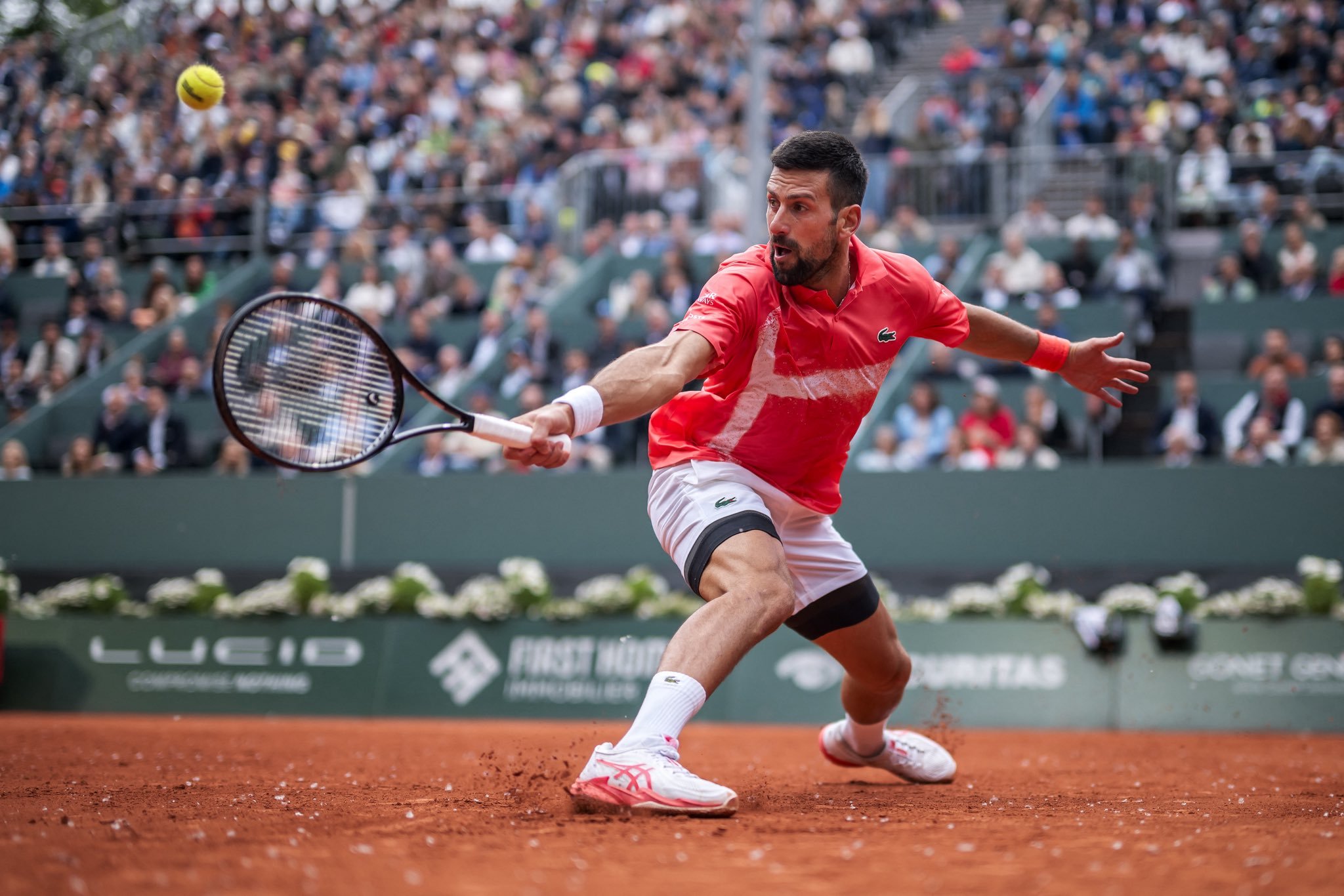 年终总决赛绝杀ATP总决赛，德约科维奇扛起全队的简单介绍