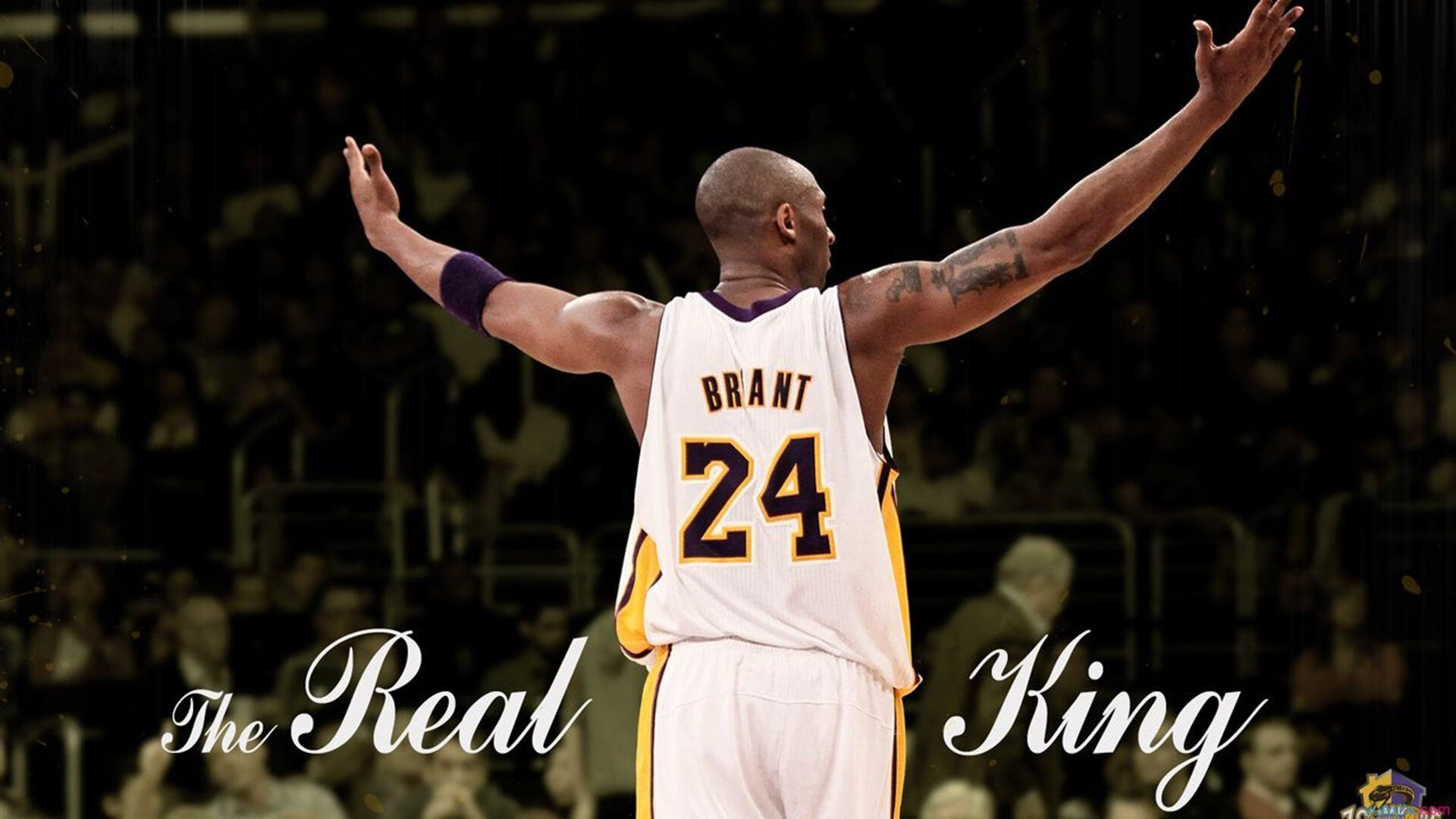 世界杯之夜，当詹姆斯带领美国队走向2026