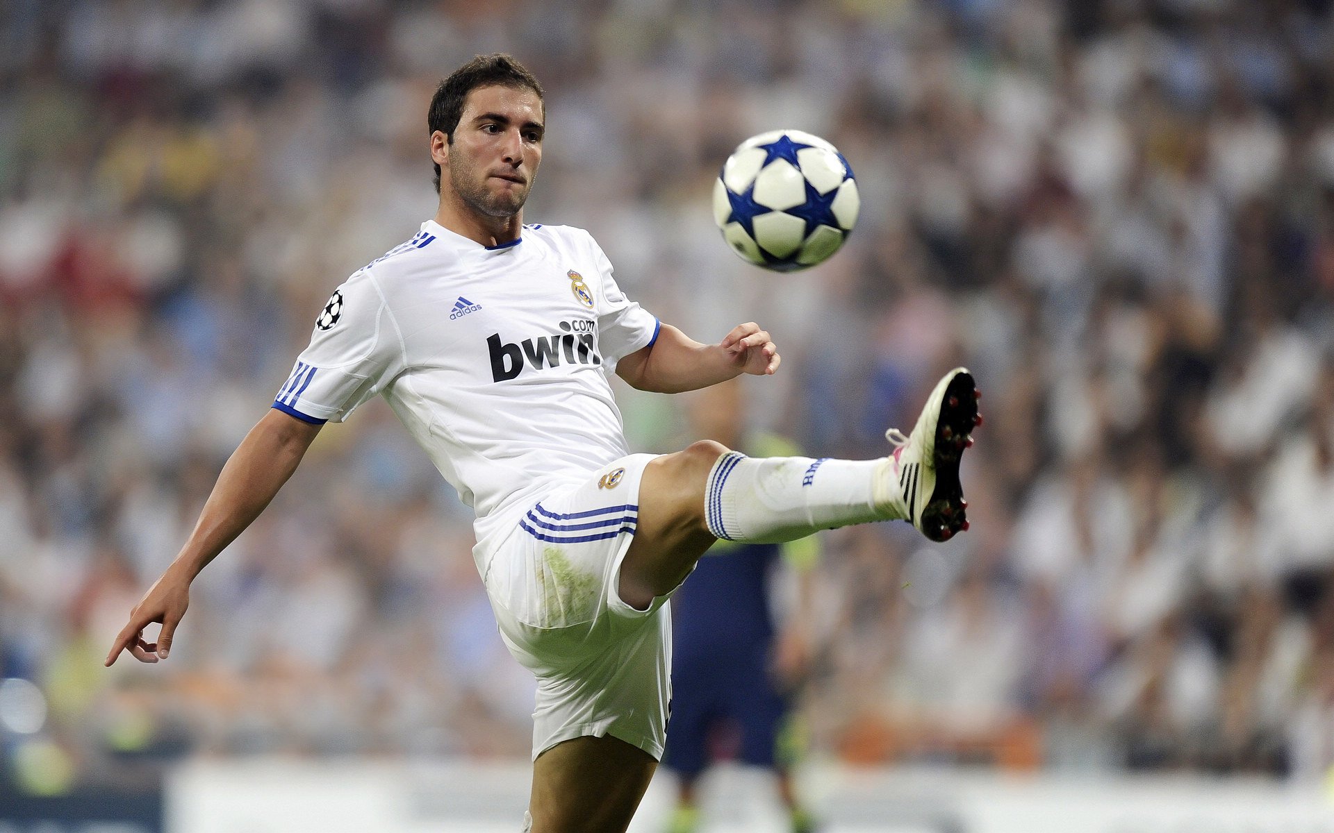 凯尔特人制霸猛龙，切特带动全队节奏，绿军展现冠军相